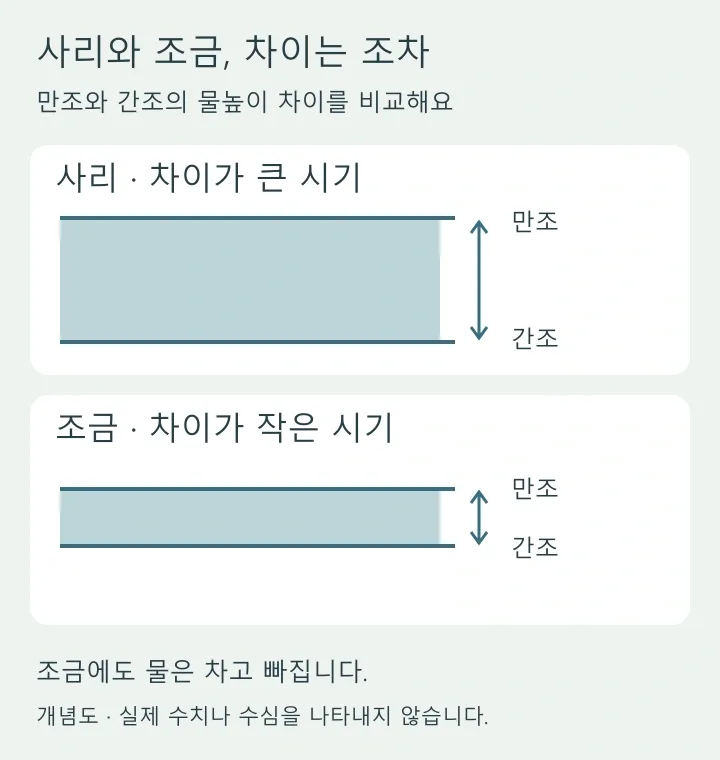 사리는 만조와 간조의 차이가 크고 조금은 작은 개념 비교
